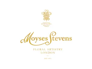Moyses Stevens logo