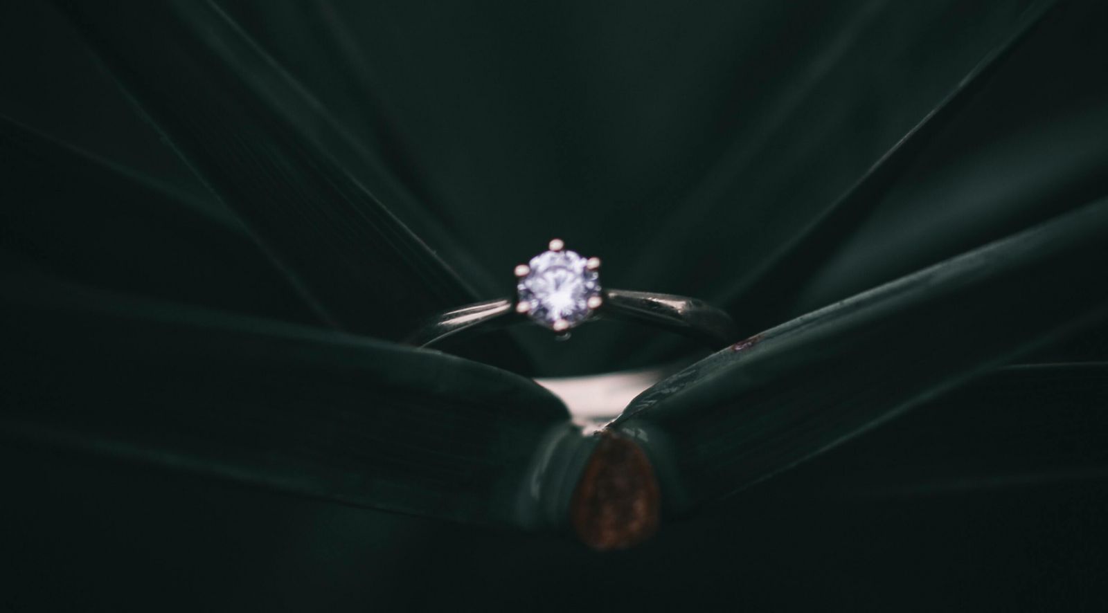 Black Friday diamond deals pandora